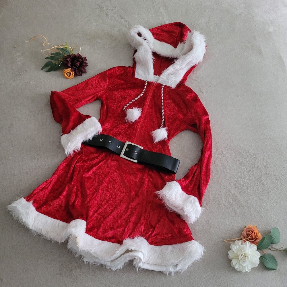Santa Baby Costume